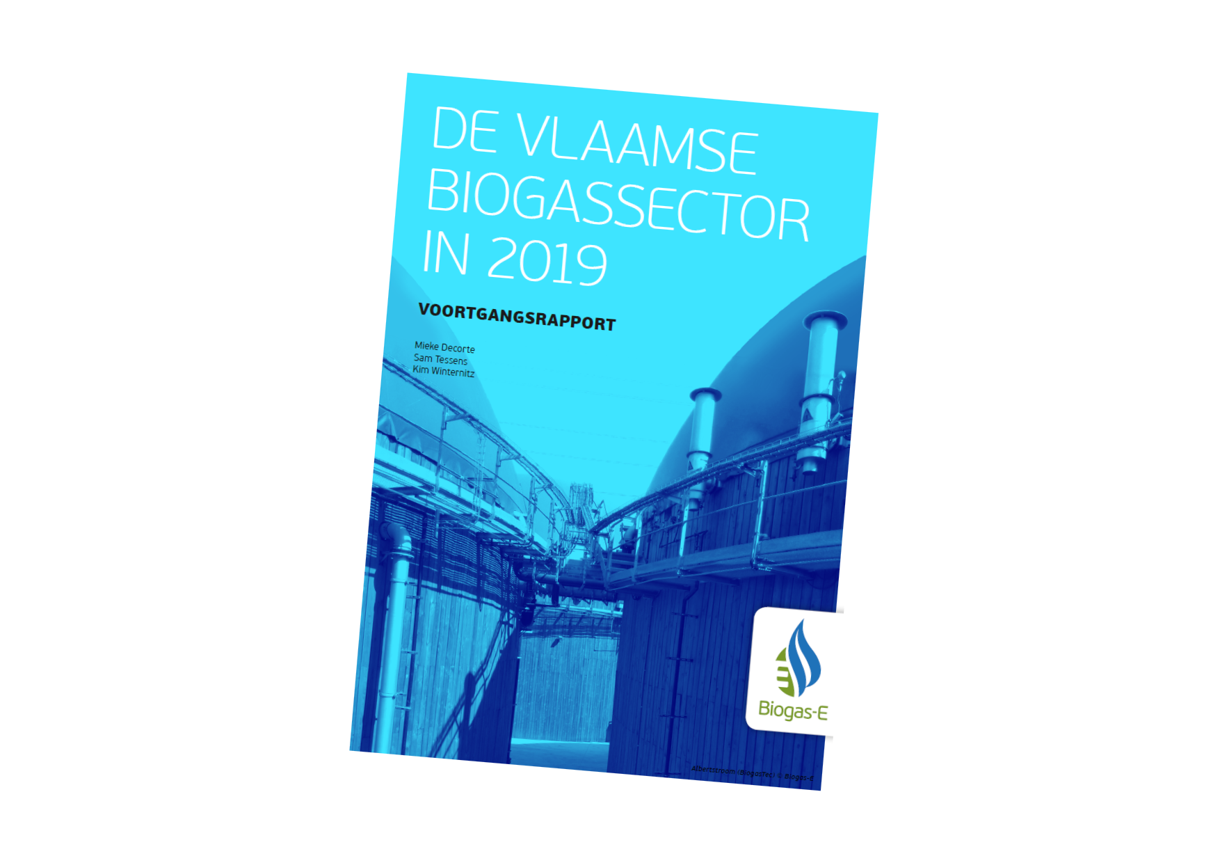 Vlaamse biogassector 2019