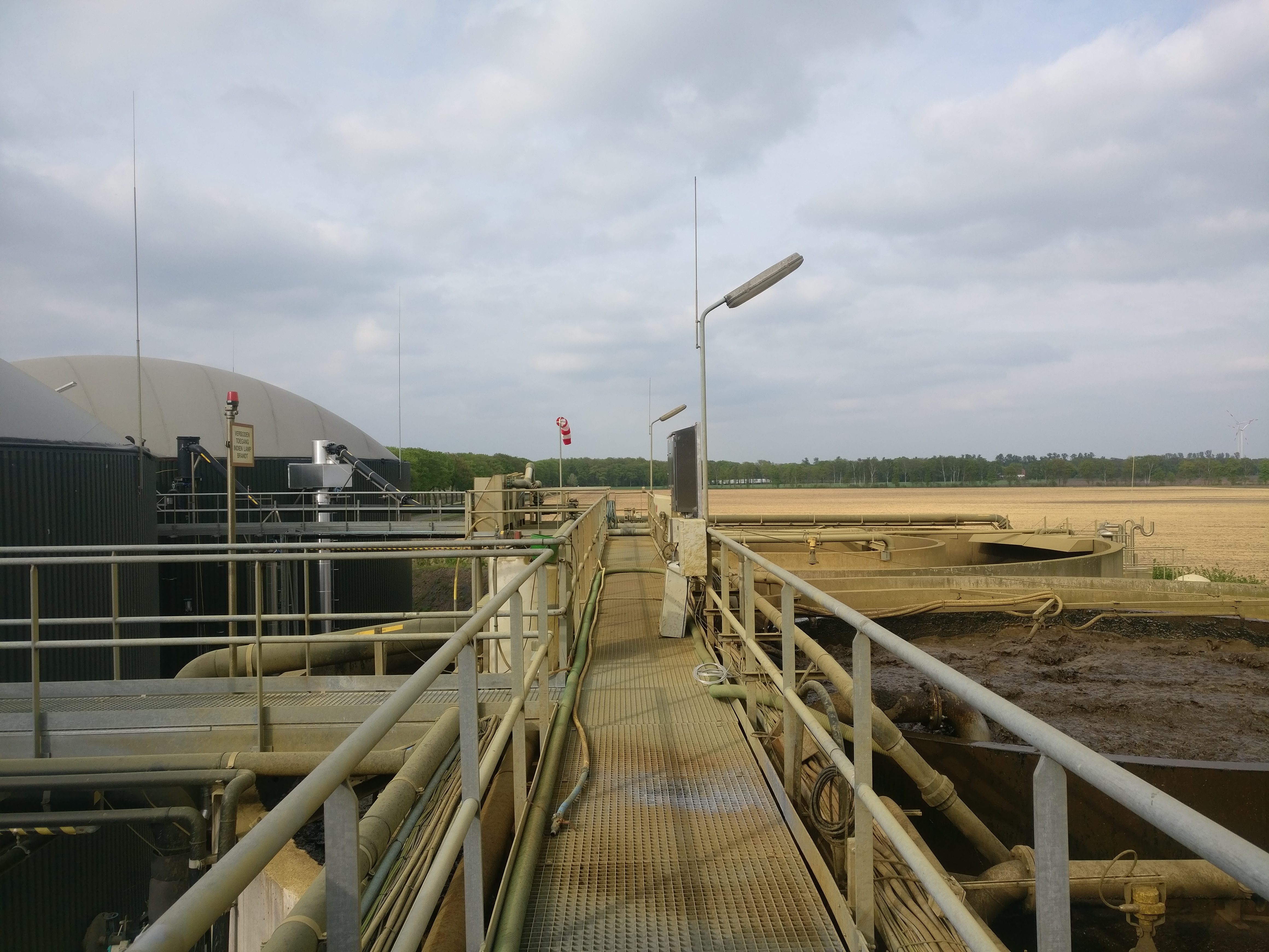 ecofuels