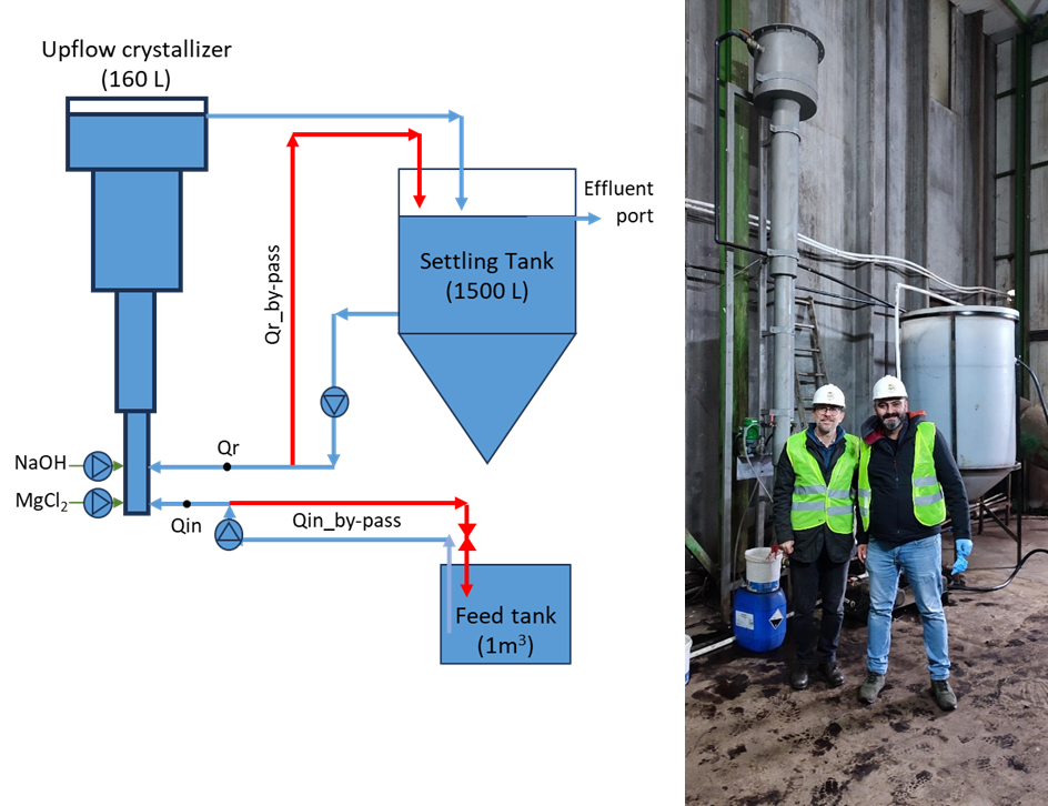 Pilot scale upflow fluidised bed reactor
