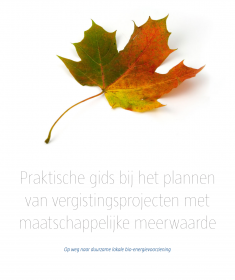 vergistingsprojecten