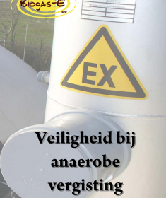vergisting