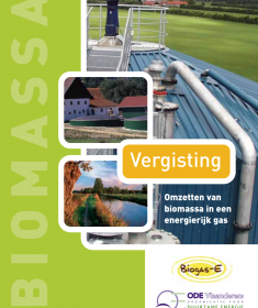 vergisting