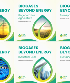 factsheets