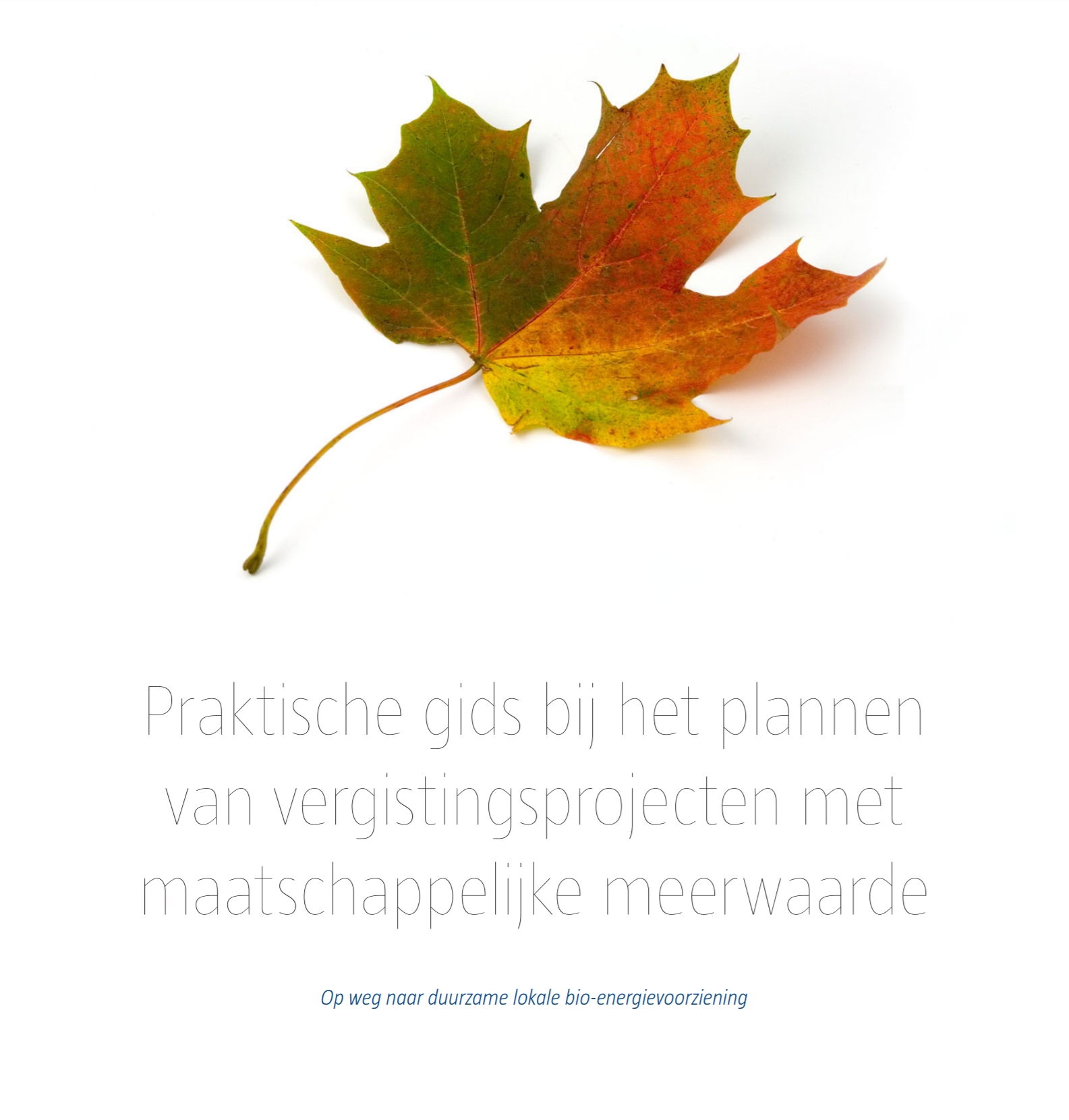 vergistingsprojecten