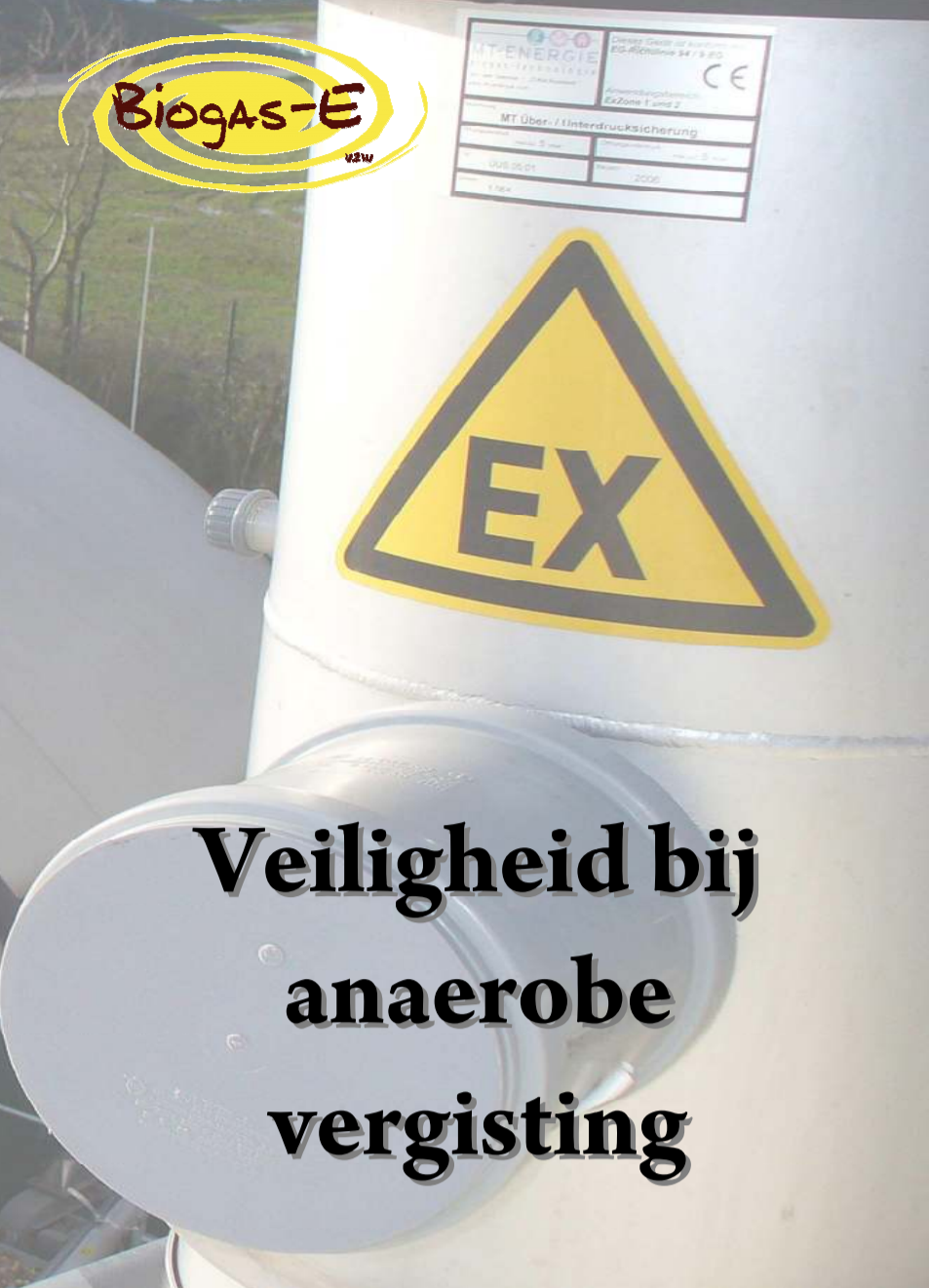 vergisting