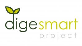 digesmart