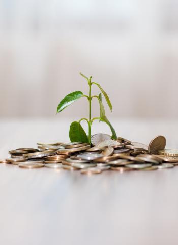 investeringsaftrek