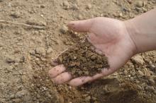 compost