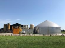 Foto_Biolectric